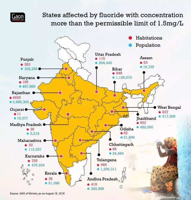 359713-whatsapp-image-2022-05-19-at-33716-pm