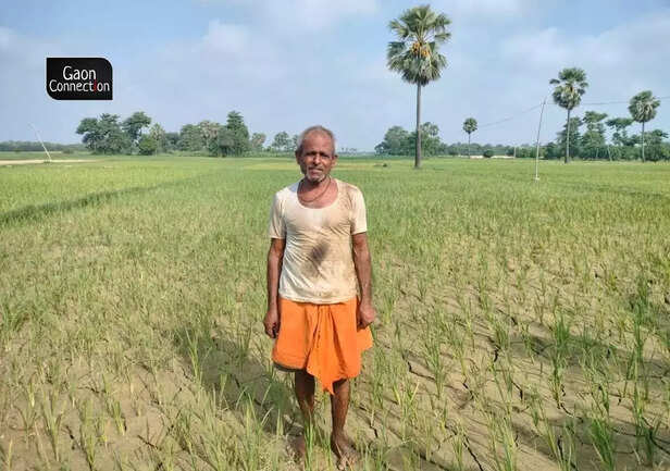 366823-bihar-farmers-2