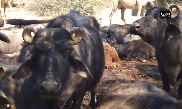 363939-untitled-design-2023-03-07t113513449