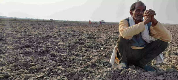 358447-358410-melon-cultivation-information-scaled-1