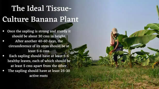 360509-c38d09fc-2d4e-4913-9718-8c63d068e317