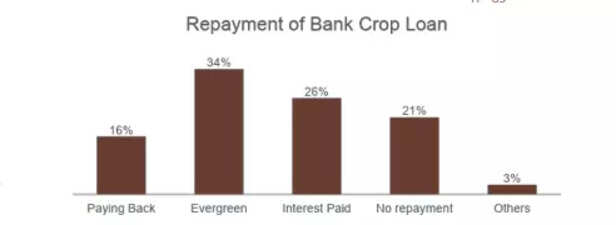 359246-repayment-of-loans