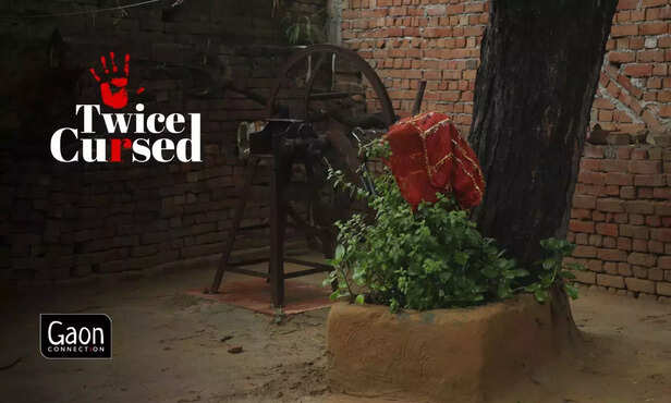 361753-untitled-design-30