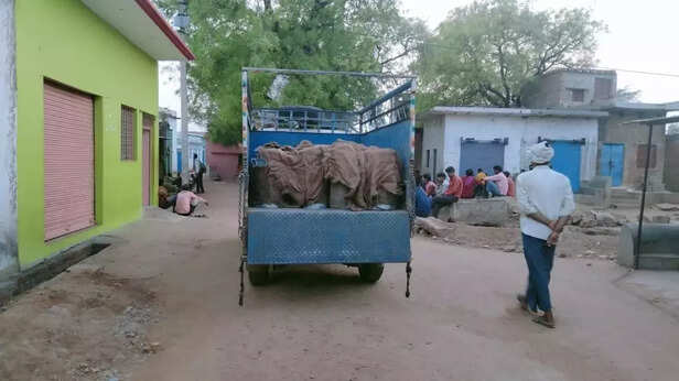 359565-whatsapp-image-2022-05-05-at-64303-pm