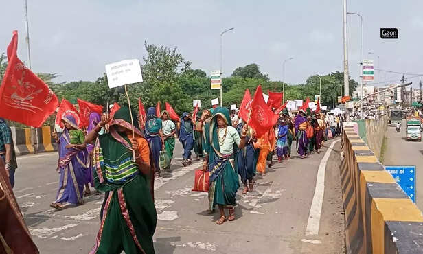 367749-untitled-design-4