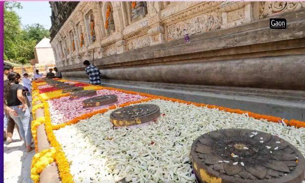 365055-untitled-design-60