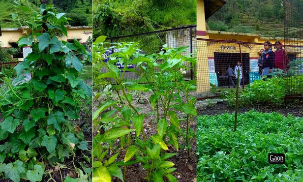 368409-stories-published-on-web-19