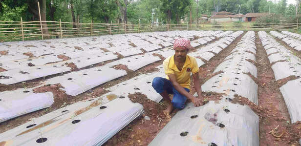 360408-kushal-kisan-8-scaled-1