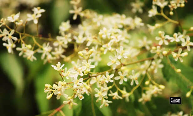 364737-untitled-design-2023-04-14t165526171