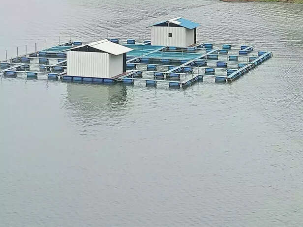 364876-fishers-aquaculture