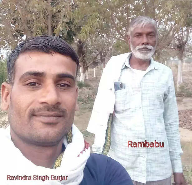 364081-afforestation-22