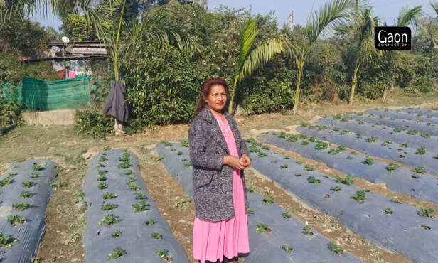 363260-untitled-design-3