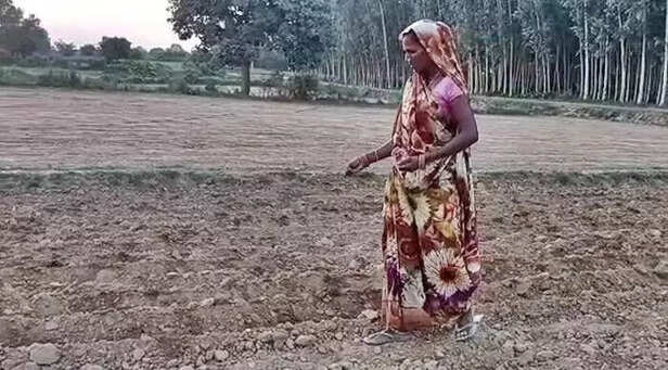 360571-women-farmers