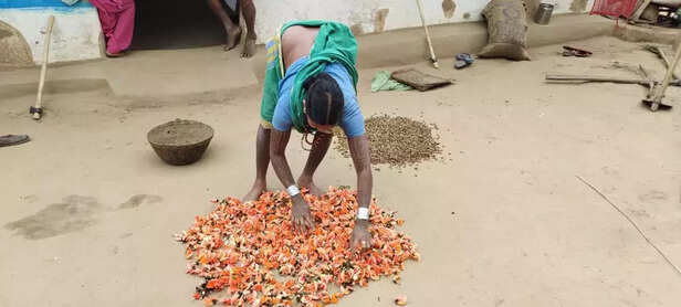 358374-352165-holi-festival-chhattisgarh-gaon-connection-5