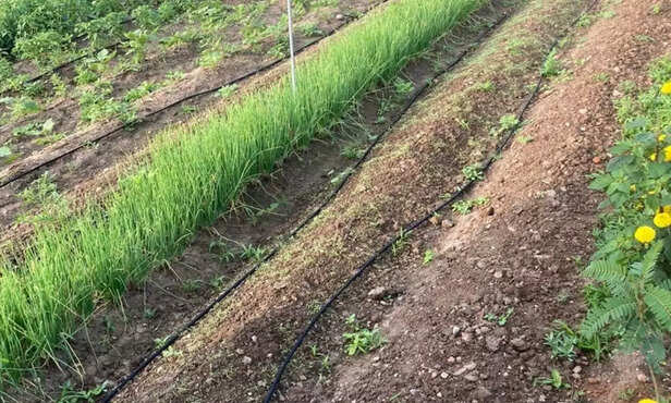 360032-add-a-subheading-4