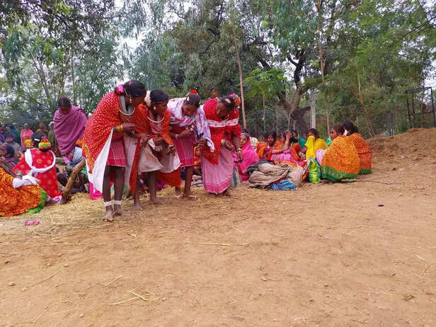 358380-352170-holi-festival-chhattisgarh-gaon-connection-7