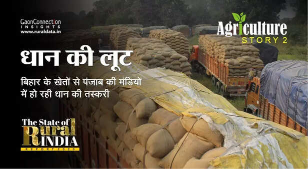 350443-smuggling-of-paddy-from-up-bihar-to-punjab-loss-of-farmers