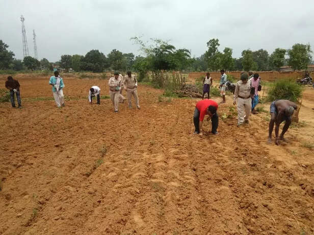 seed-ball-3-1024x768