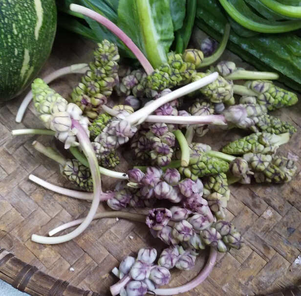 WhatsApp-Image-2020-09-17-at-12.36.29-PM-1024x1006