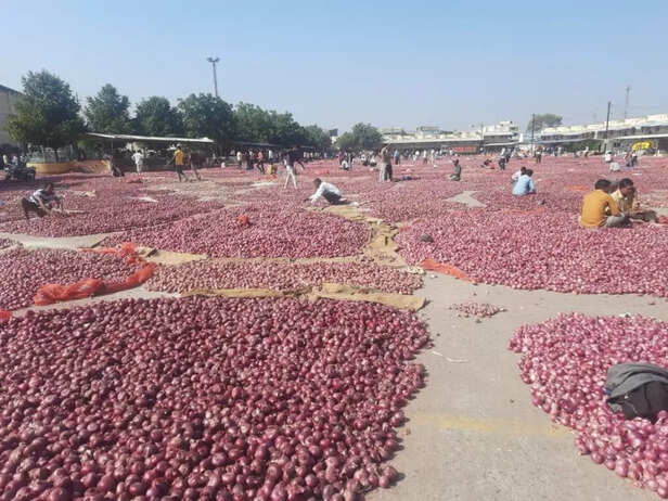 349536-whatsapp-image-2020-11-06-at-145221-2-1024x768