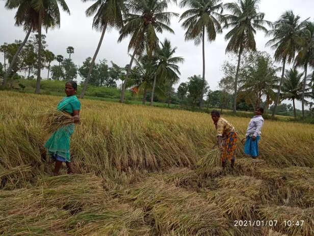 WhatsApp-Image-2021-01-13-at-16.01.53-1024x768