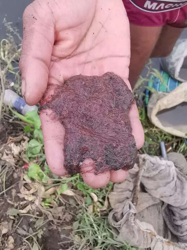 whatsapp-image-2020-09-12-at-10.50.53-am-8