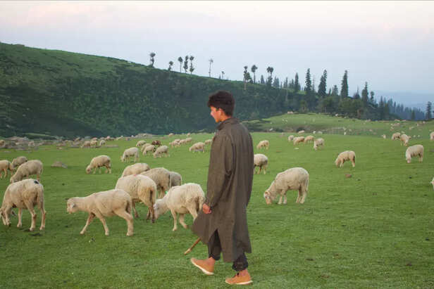 Screen-Shot-2020-10-27-at-12.00.19-PM-1-1024x684