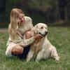 Labrador Puppy Socializing with Owner
