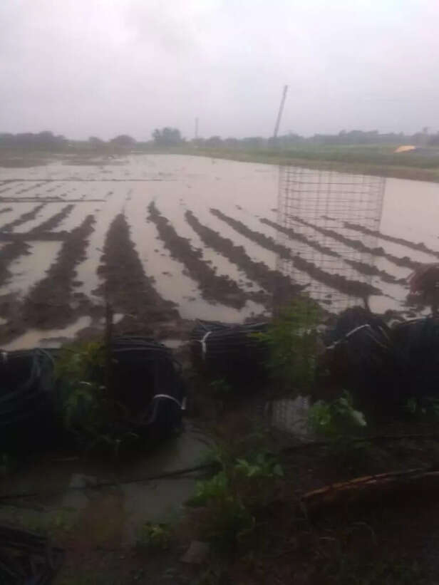 WhatsApp-Image-2020-10-16-at-1.25.58-PM-1-768x1024