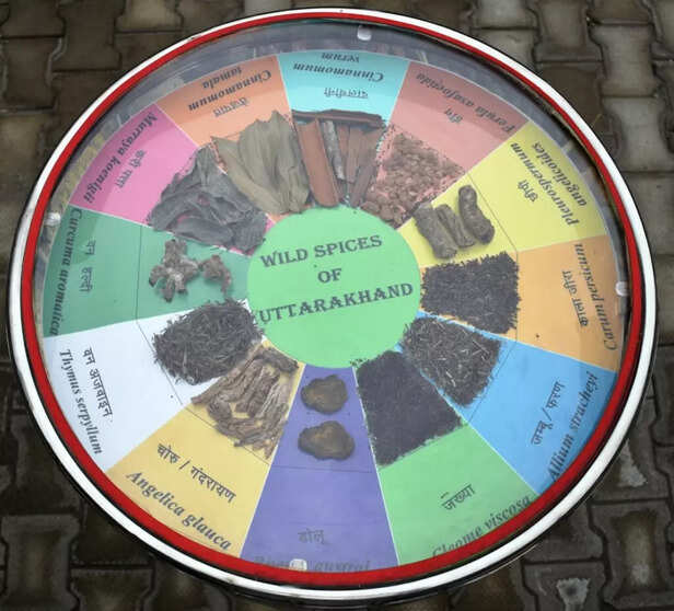 IMG-20210124-WA0027-1024x927