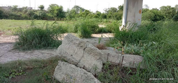 img_20200727_162946-scaled