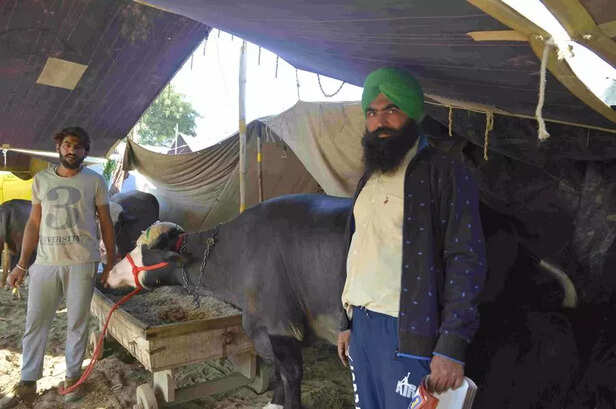 Punjab-farmers-1
