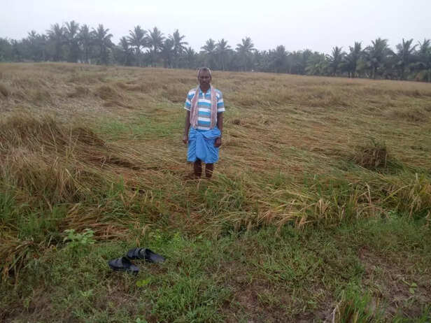 WhatsApp-Image-2021-01-16-at-10.35.31-AM-1024x768