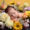 What Happens During Birth?