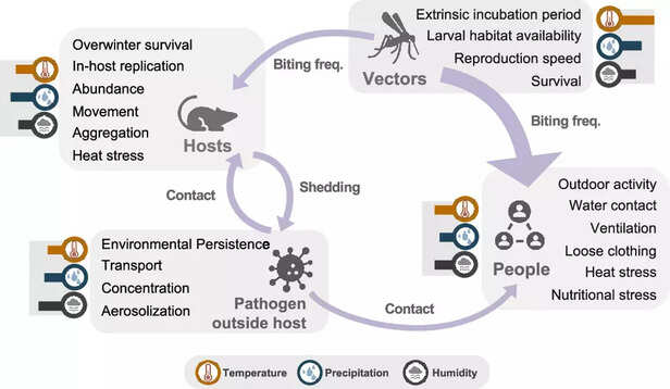 इसके अलावा, कई ज़ूनोटिक रोगों, खासकर चमगादड़ों से जुड़ी बीमारियों पर बहुत कम अध्ययन उपलब्ध हैं, जबकि हाल के बड़े प्रकोपों में इनकी भूमिका अहम रही है।