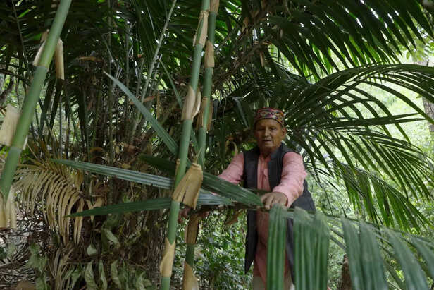 अपनी डेढ़ हेक्टेयर बंजर ज़मीन को जंगल में बदलने की ठान ली।