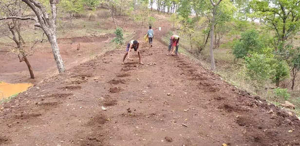 seed-ball-4-1024x498