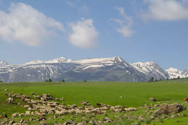 Screen-Shot-2020-10-27-at-12.01.15-PM-1024x682