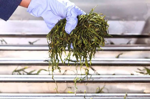 WhatsApp-Image-2021-01-21-at-4.28.28-PM-1024x682