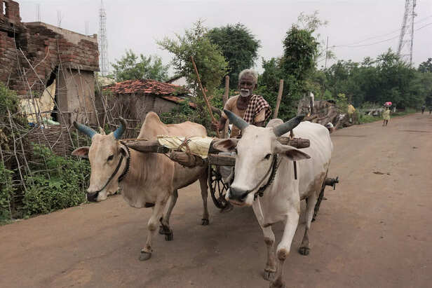 Harijan-Bawne-scaled