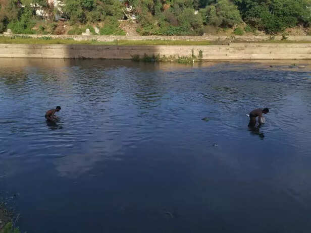 whatsapp-image-2020-09-12-at-10.50.53-am-1