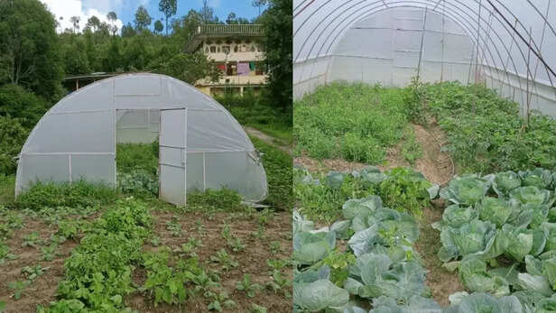 353924-portable-polyhouse-for-mountain-farming-low-cost-icar-vivekananda-parvatiya-krishi-anusandhan-sansthan-uttarakhand-1-1024x576