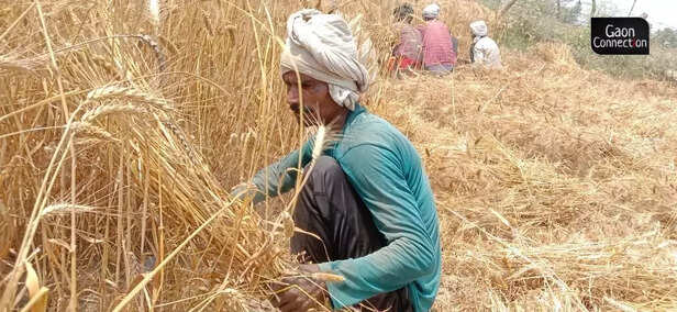 359109-whatsapp-image-2022-04-22-at-25606-pm