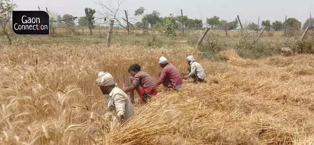 359113-whatsapp-image-2022-04-22-at-25548-pm