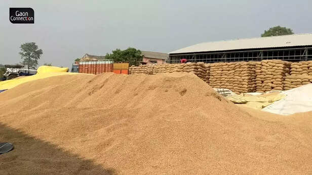 359110-whatsapp-image-2022-04-22-at-24928-pm-2