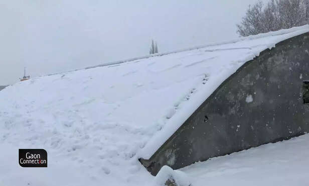 362770-untitled-design-2