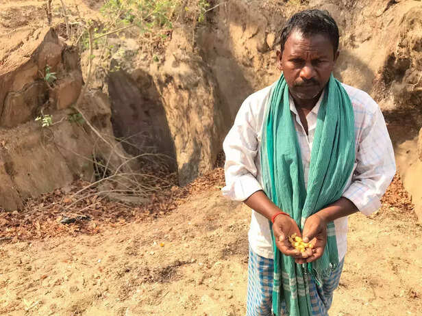 359023-melghat-tiger-reserve-angar-mukt-abhiyan-forest-fire-viral-video-shyama-prasad-mukherjee-jan-van-yojana-local-community-amravati-maharashtra-1