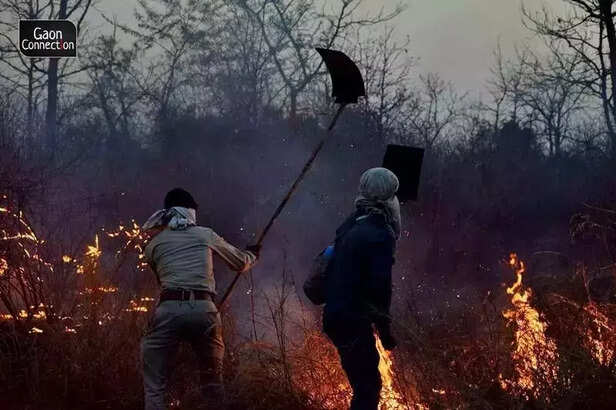 358854-odisha-forest-fire-sheroes-tribal-women-empowerment-community-participation-koraput-sal-trees-semiliguda-4