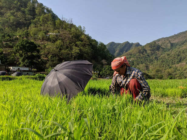 IMG_20190625_222801-scaled