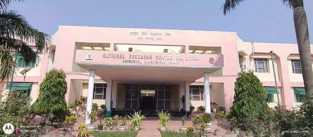 360038-whatsapp-image-2022-06-07-at-93103-pm